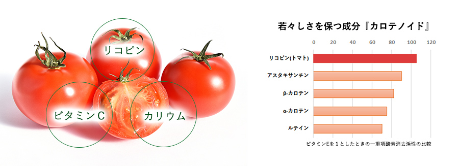 トマトの栄養成分