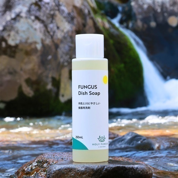 FUNGUS ディッシュソープ（食器用洗剤）250ｍL