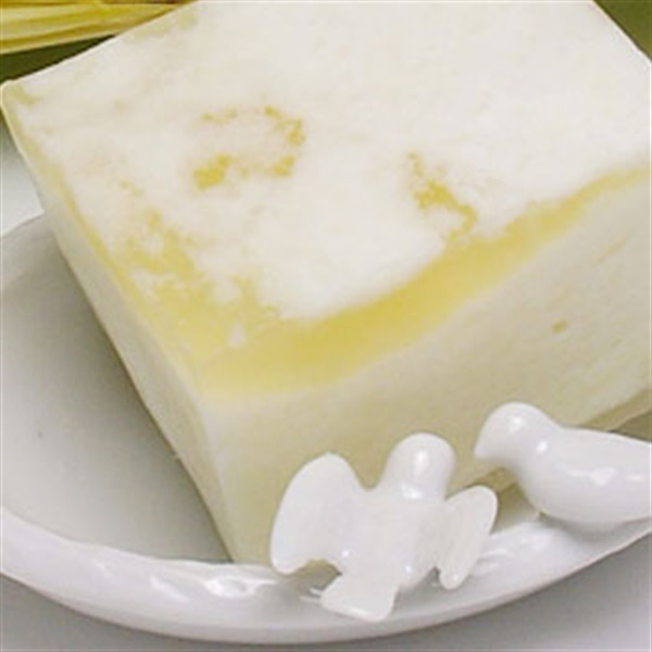 ヒーリングモイストソープの泡石けん110g