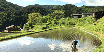 里山再生プロジェクト