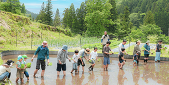 田植え体験会2025