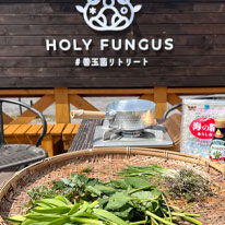 HOLY FUNGUS・アクティビティのご紹介①