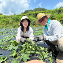 ヘチマとハーブが元気です♪