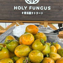 秋の農場より ー 実りの季節の３つの体験