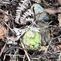 3年目のOPENに向けて！