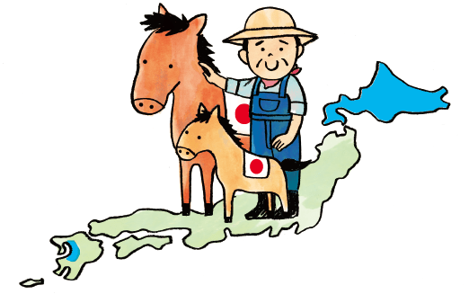 原料として使用しているのは純国産馬油のみ