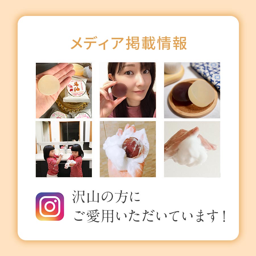 メディア掲載
