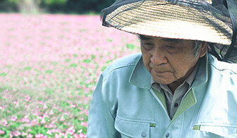 素材は食べられるものが基本（自然由来成分100％）