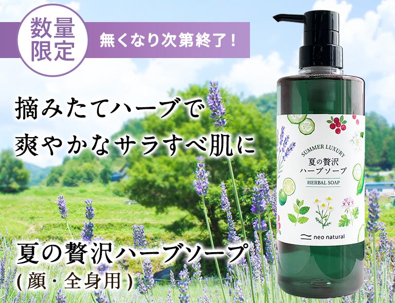【ママさん専用】カンヌ　エッセンスソープ 2個セット ウェブ限定】池田さんの石けん 夏の贅沢ハーブソープ 610mL（ポンプ