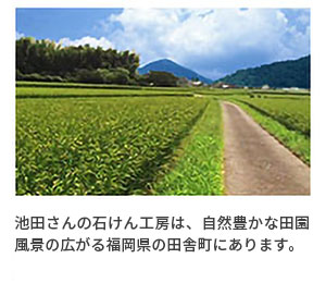 自然豊かな田園風景
