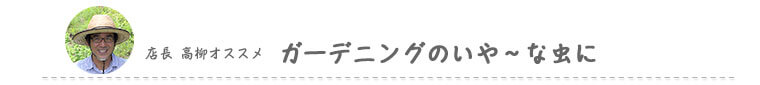店長高柳オススメ　ガーデニングのいや～な虫に