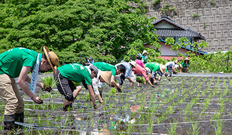 原料は自社農場でスタッフ自ら土作りから