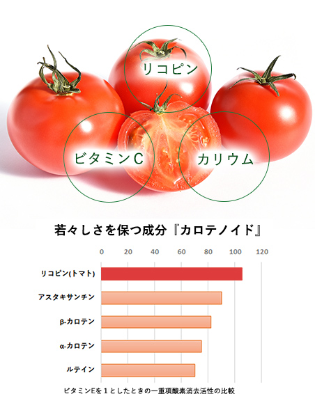 トマトの栄養成分