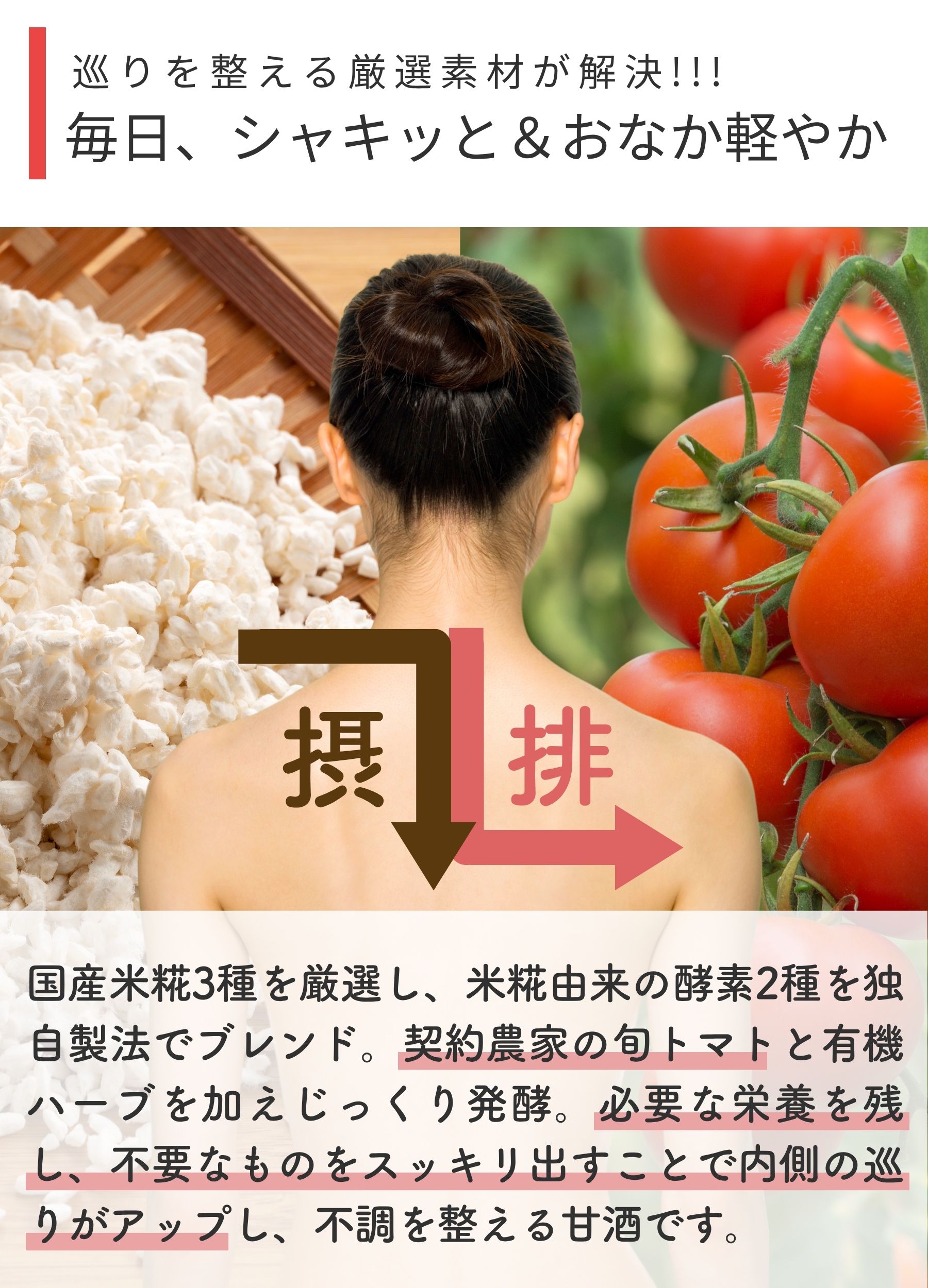 はだ恵り麗