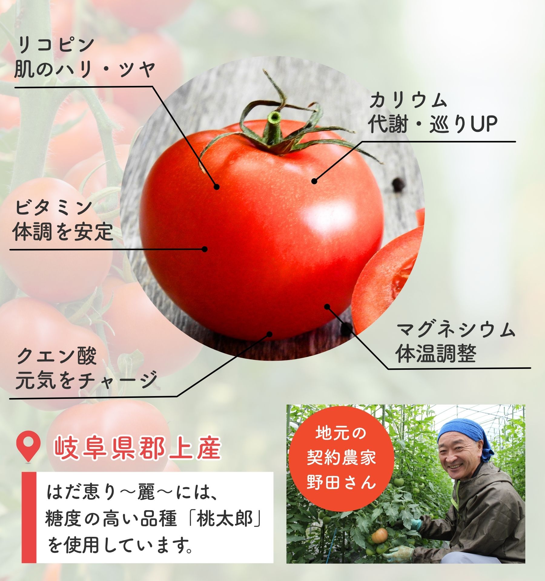 トマト
