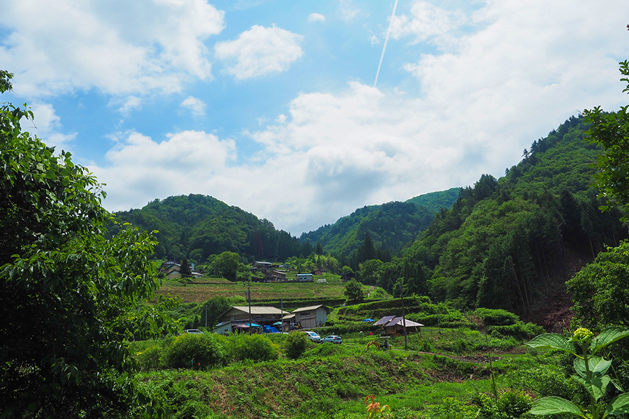 里山保全