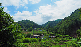 里山保全