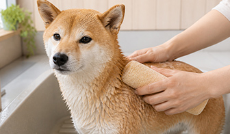 ペット
