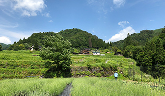 長い歴史が示す効果・安全性