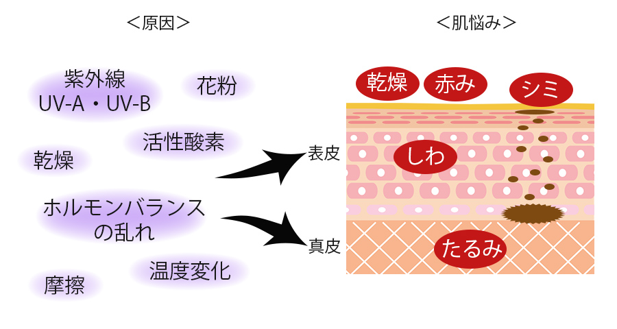 根幹スキンケアの基礎となる「水分」