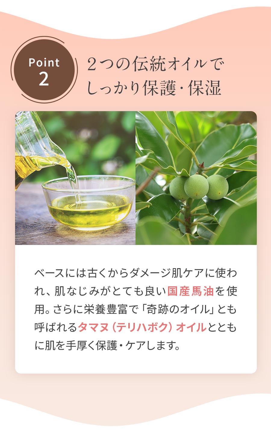 馬油とタマヌオイルが肌を保護