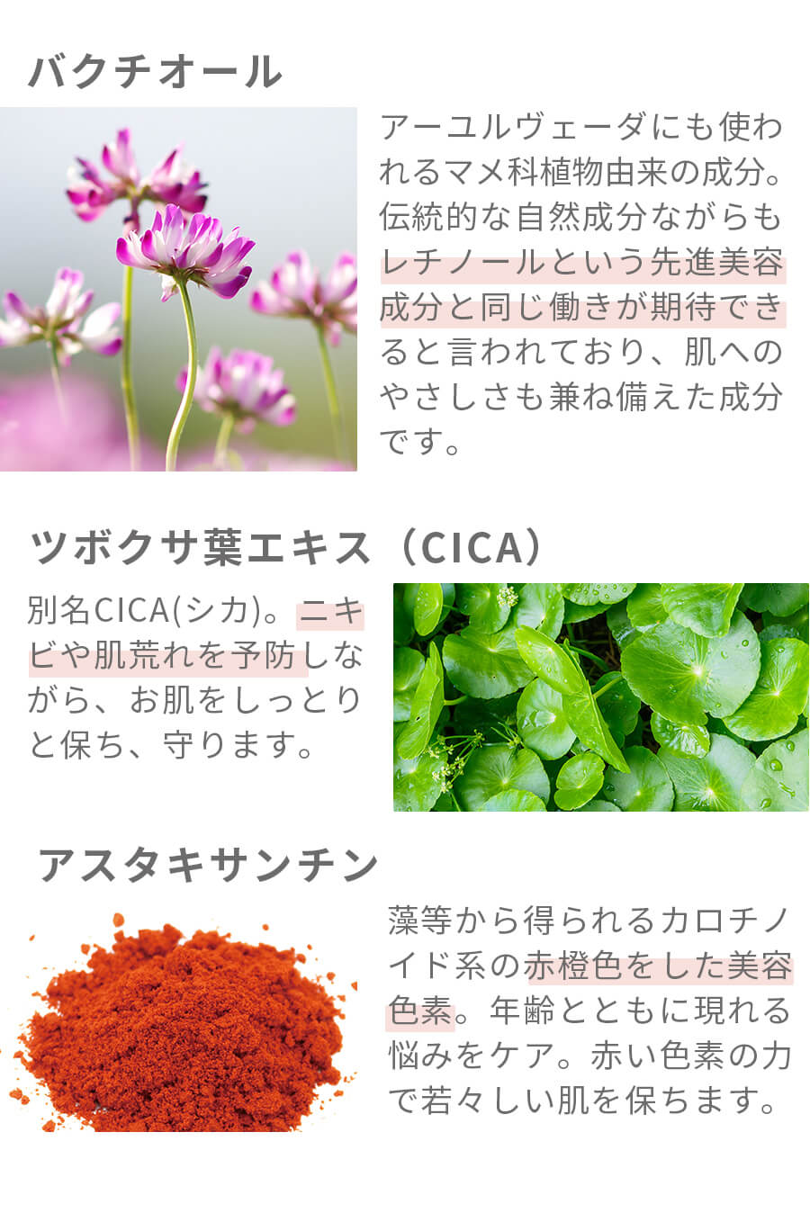 注目素材