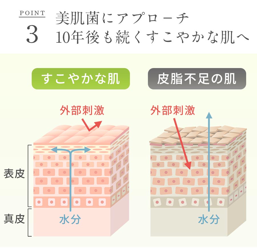 ポイント3 美肌菌にアプローチ10年後も続くすこやかな肌へ