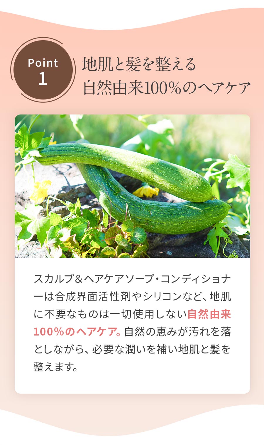 地肌と髪を整える自然由来100％のヘアケア：合成界面活性剤やシリコンなど一切不使用。