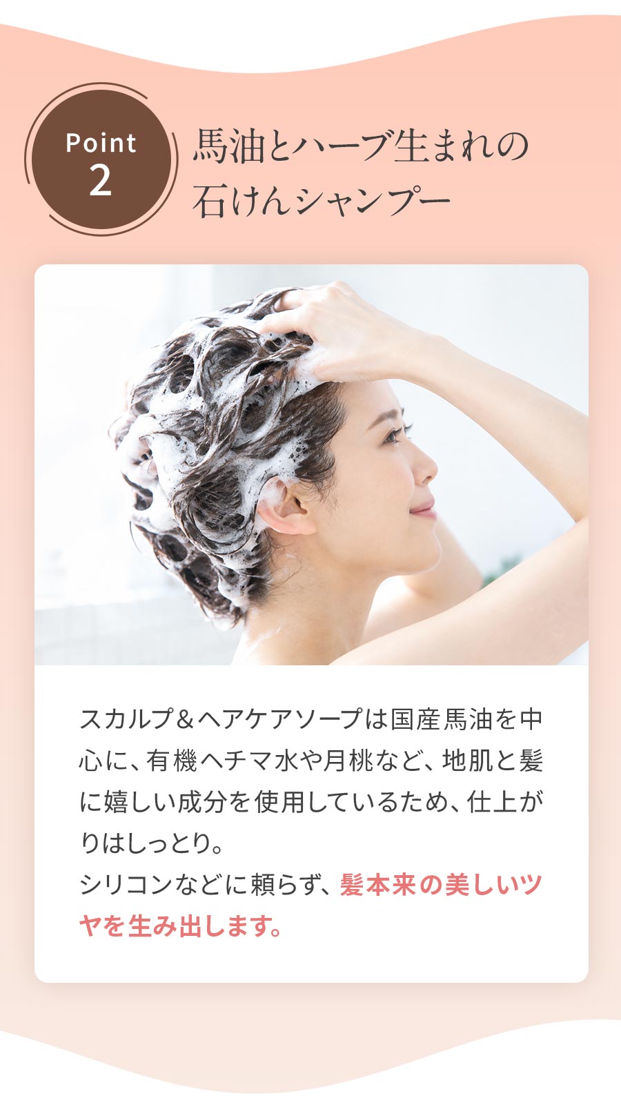 馬油とハーブ生まれの石けんシャンプー：国産馬油を中心に、有機ヘチマ水やハチミツなど配合