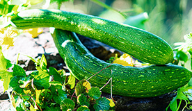 肌質年齢問わず美しく潤う素肌に