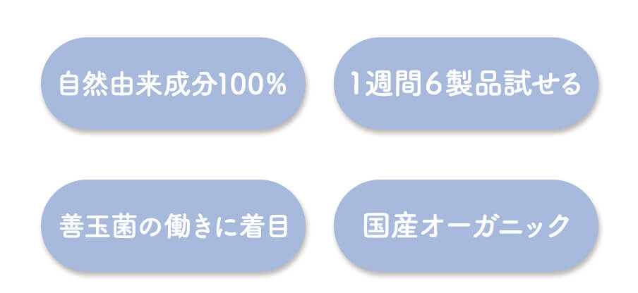 イエス　ノー
