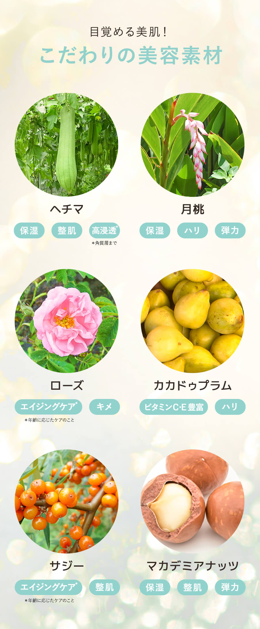 こだわりの美容素材