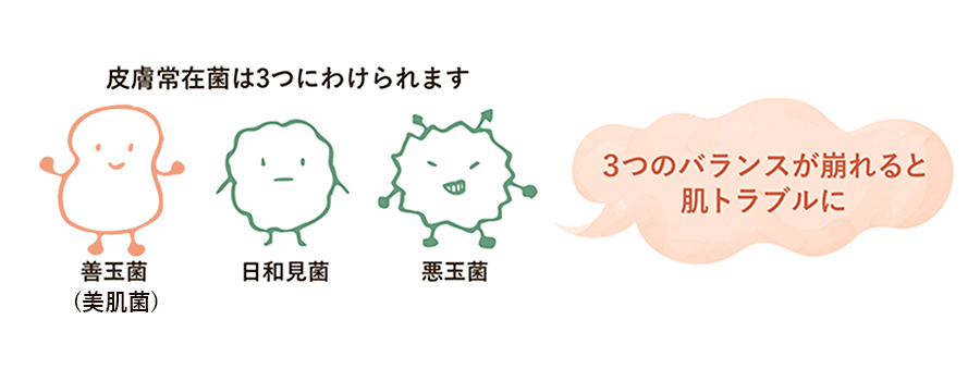 肌フローラ