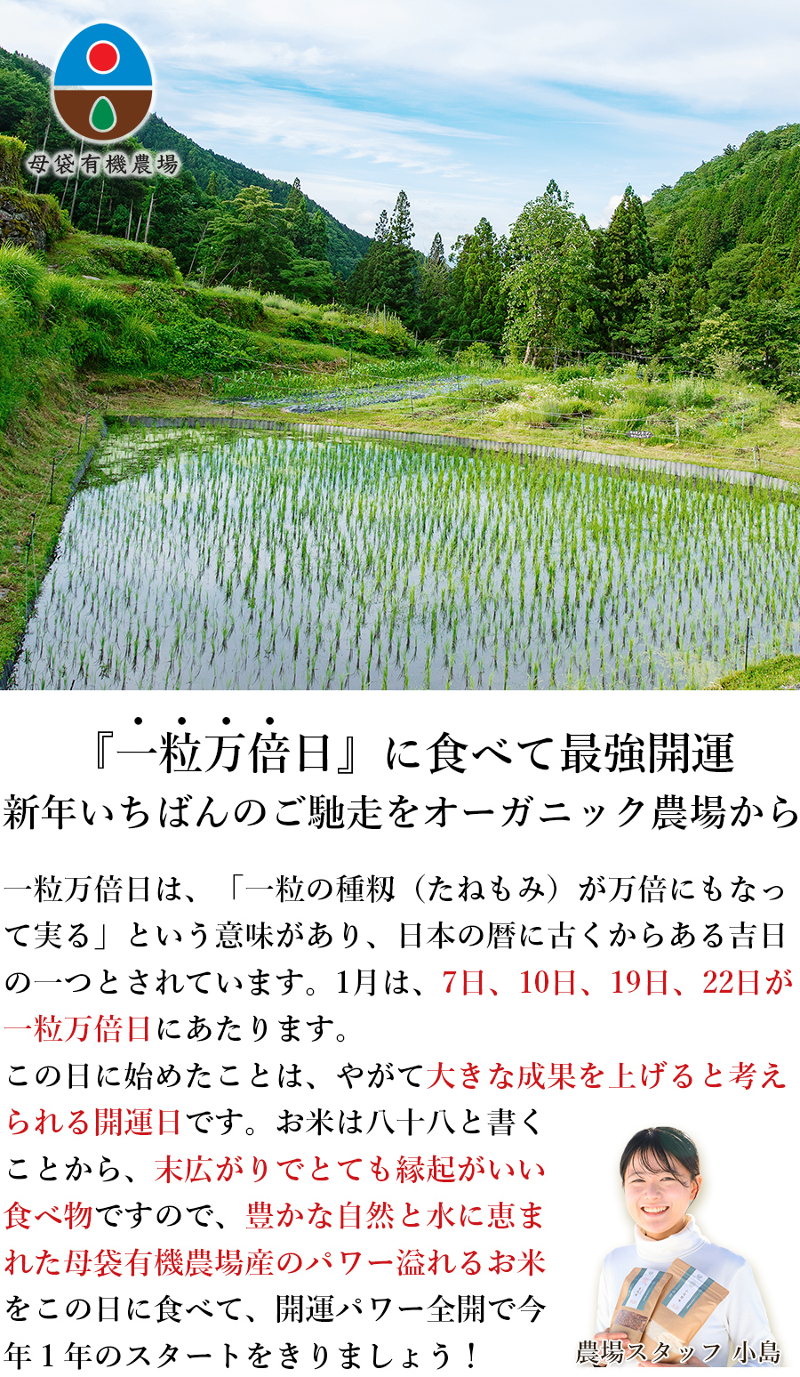 新年とっておきの贈り物