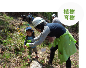 植樹・育樹の様子