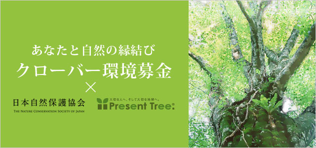 クローバー環境募金　日本自然保護協会　ＮＣＳＪ　プレゼントツリー　present tree 環境リレーションズ研究所　ネオナチュラル　オーガニック