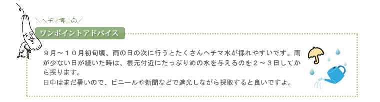 ワンポイントアドバイス