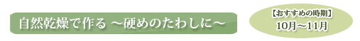自然乾燥でかためのたわしに