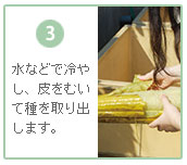 水で冷やして皮をむき種を取る