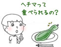 美味しいヘチマ