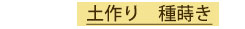 土作り　種蒔き