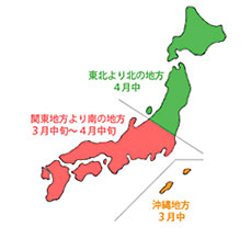 種を蒔く時期の目安