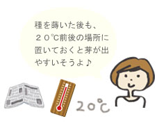種を蒔いた後も20℃前後の場所に置いておくと芽が出やすいですよ