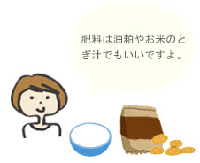 肥料は油粕やお米のとぎ汁でもいいですよ