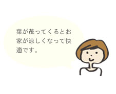 葉が茂ってくるとお家が涼しくなって快適です