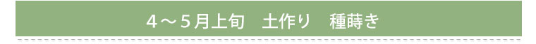 4～5月上旬　土作り　種蒔き