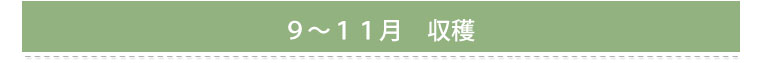 ９～１１月