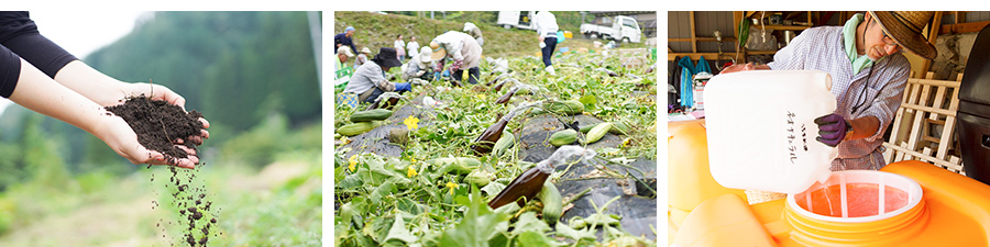 自然豊かな里山で育つオーガニック原料