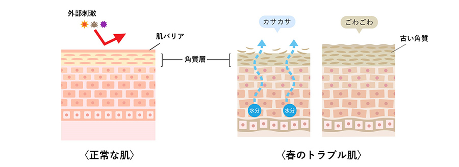 敏感な肌特集