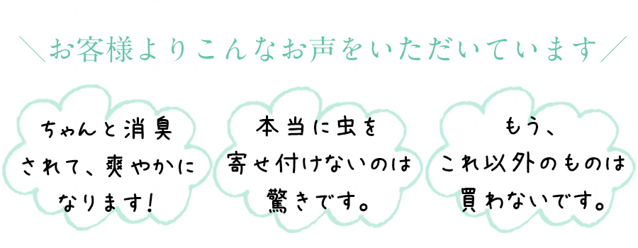 お客様の声